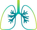 lungs icon